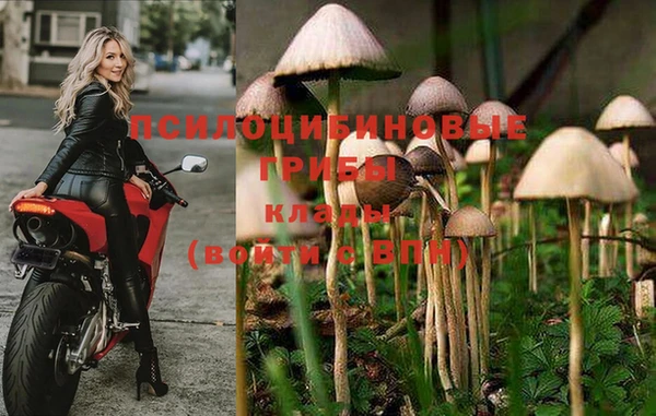 таблы Надым