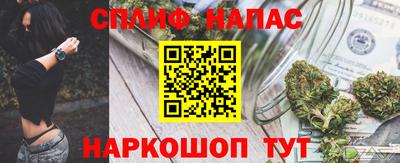 стафф Кингисепп