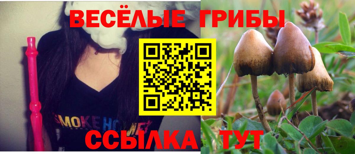 Галлюциногенные грибы прущие грибы Кимовск