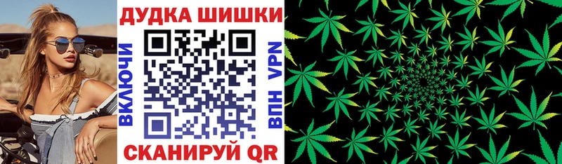 как найти   Кимовск  Бошки Шишки White Widow 